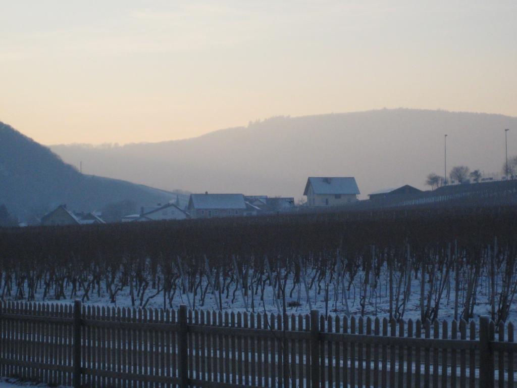 Moselschoen Das Ferienhaus โบรเดนบาค ห้อง รูปภาพ