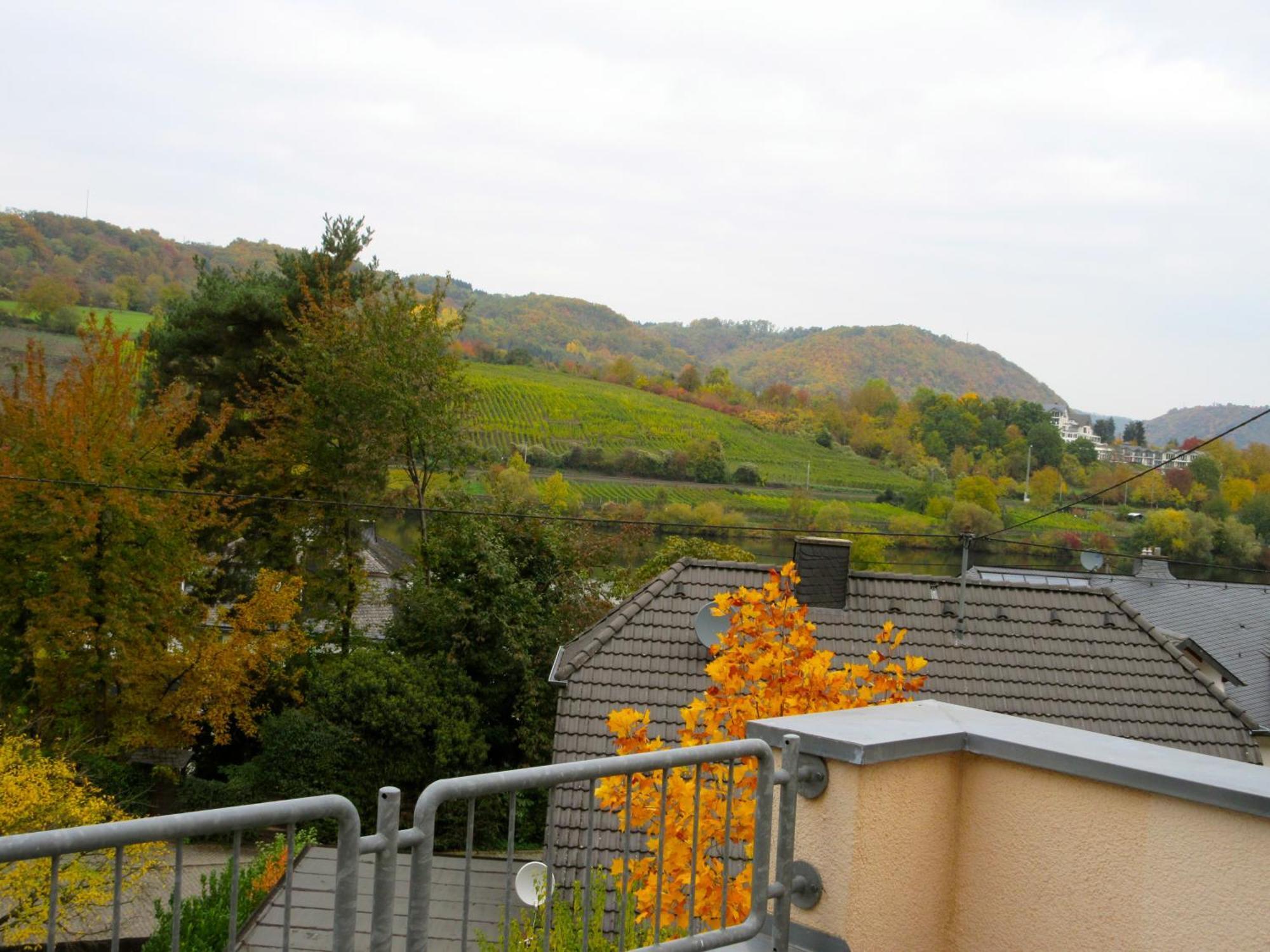 Moselschoen Das Ferienhaus โบรเดนบาค ห้อง รูปภาพ