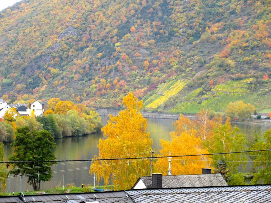 Moselschoen Das Ferienhaus โบรเดนบาค ห้อง รูปภาพ